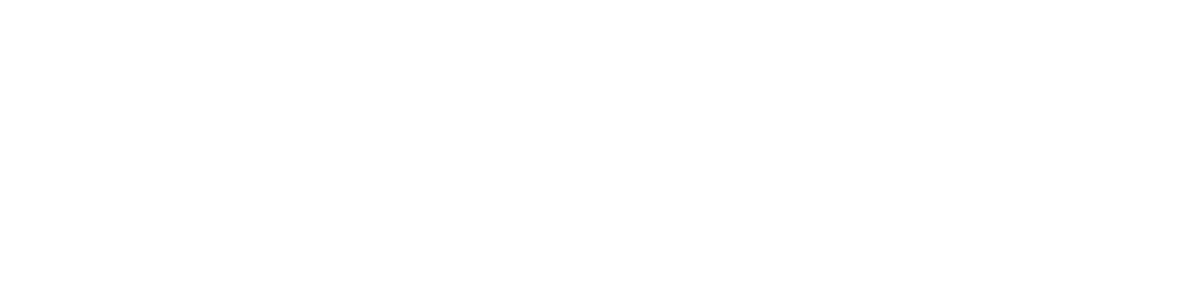 PRO TORVISCOSA